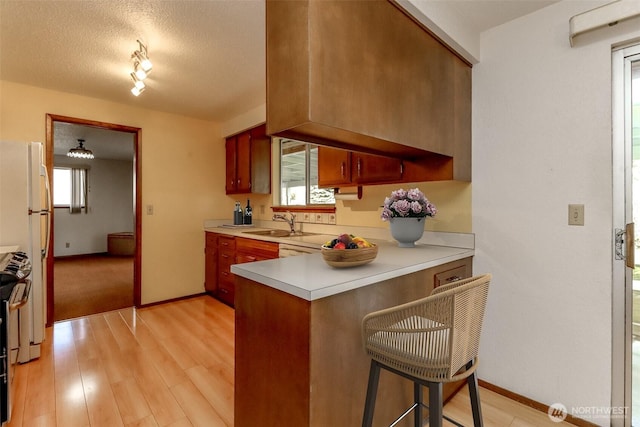 kitchen featuring a peninsula, light countertops, and light wood-style floors