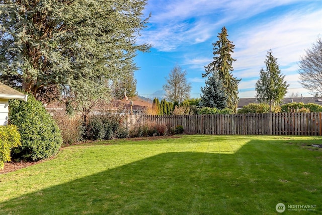 view of yard featuring a fenced backyard