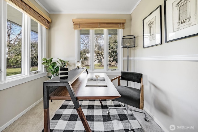 carpeted office space featuring a wealth of natural light and crown molding