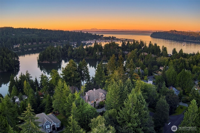 bird's eye view featuring a water view and a wooded view