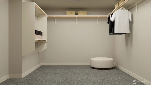 walk in closet with carpet floors