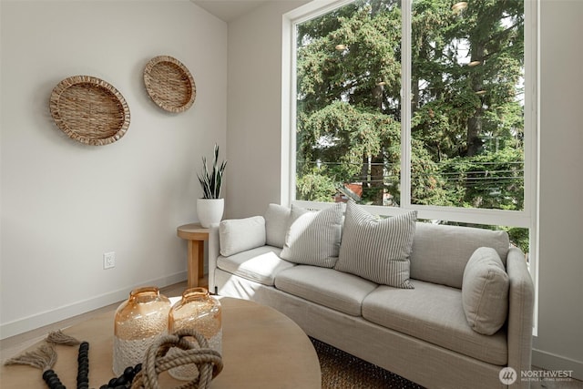 living area featuring plenty of natural light, baseboards, and wood finished floors