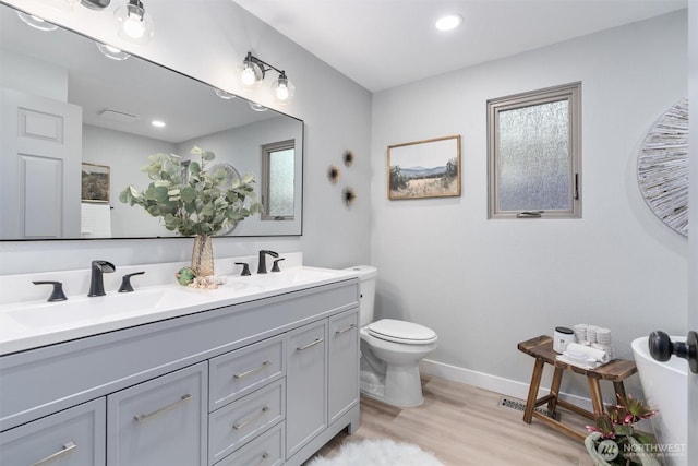 bathroom with a sink, toilet, wood finished floors, and double vanity