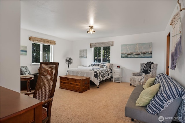 view of carpeted bedroom