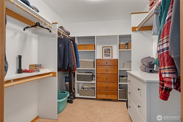 walk in closet with carpet flooring