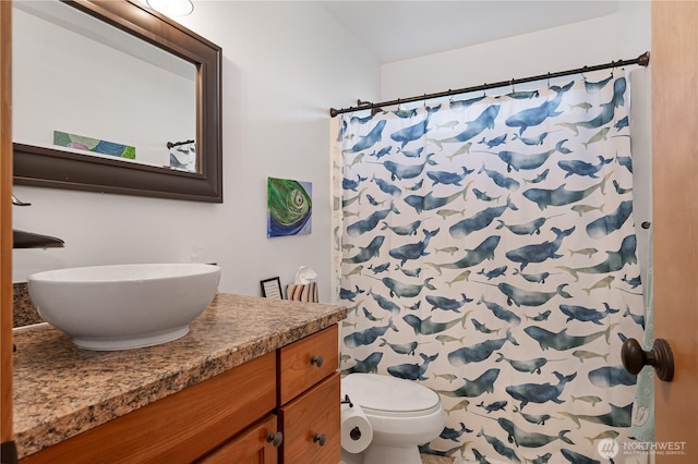 bathroom featuring a shower with curtain, vanity, and toilet