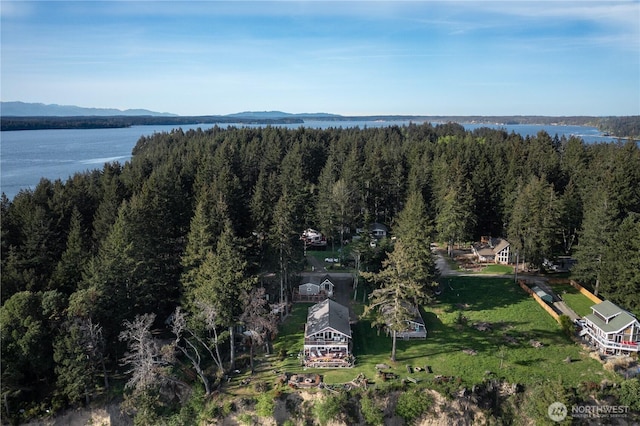 drone / aerial view featuring a water view and a wooded view