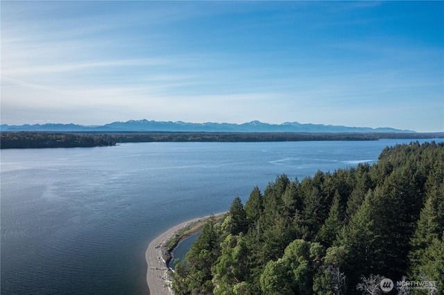 water view with a mountain view