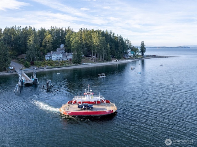 water view featuring a boat dock