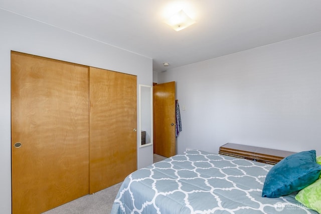 bedroom featuring carpet and a closet