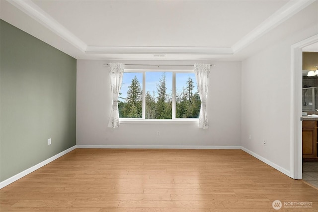 spare room featuring baseboards, a tray ceiling, and light wood-style floors