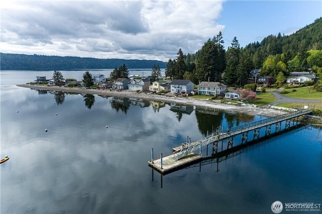 water view featuring a dock and a wooded view