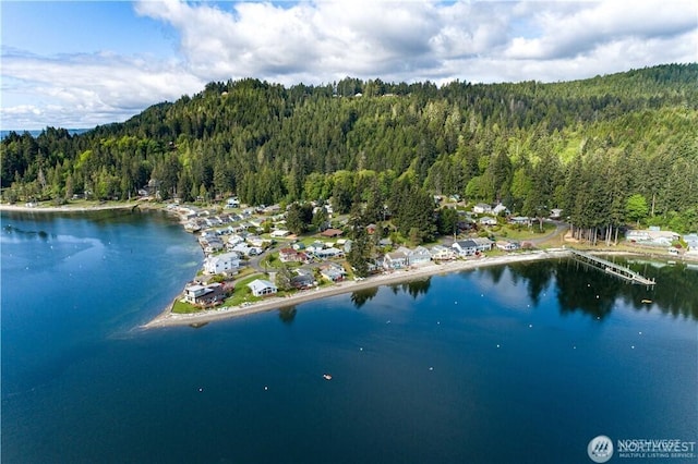 birds eye view of property with a water view and a wooded view