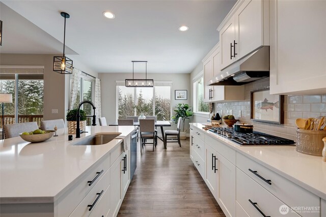kitchen featuring decorative backsplash, light countertops, appliances with stainless steel finishes, under cabinet range hood, and a sink