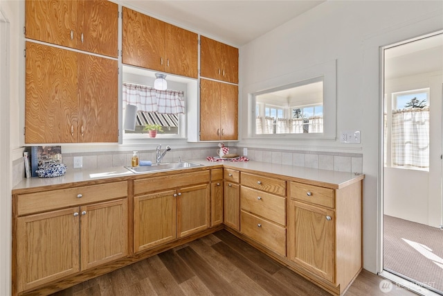 kitchen with dark wood-style flooring, a sink, and light countertops