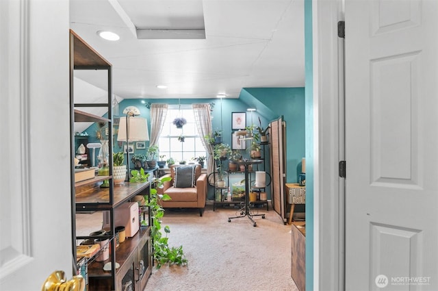 interior space with carpet
