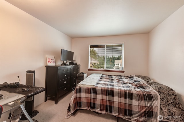 bedroom featuring light carpet