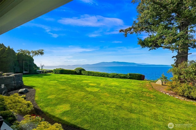 view of yard featuring a water and mountain view