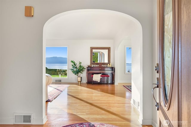 entrance foyer with baseboards, visible vents, and wood finished floors