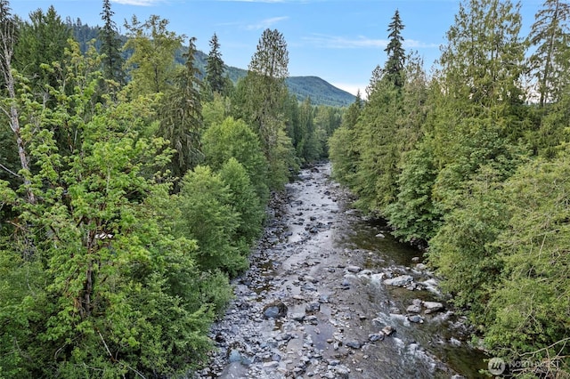 property view of mountains with a forest view