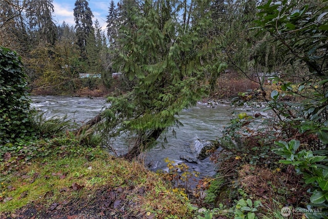 water view with a view of trees