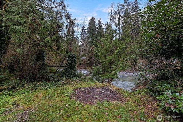 view of yard featuring a forest view