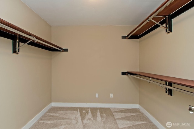 spacious closet with carpet floors