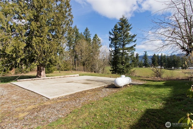 view of yard featuring driveway