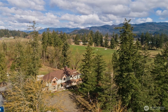 birds eye view of property featuring a forest view and a mountain view