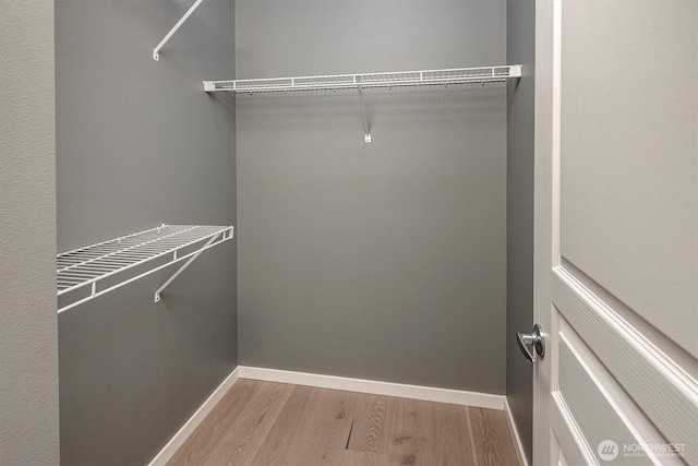 spacious closet featuring wood finished floors