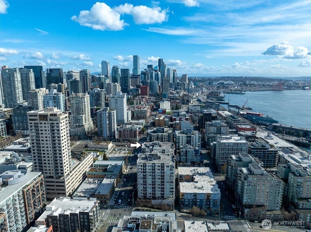 view of city featuring a water view