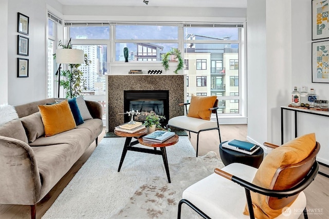 living area with a glass covered fireplace and wood finished floors