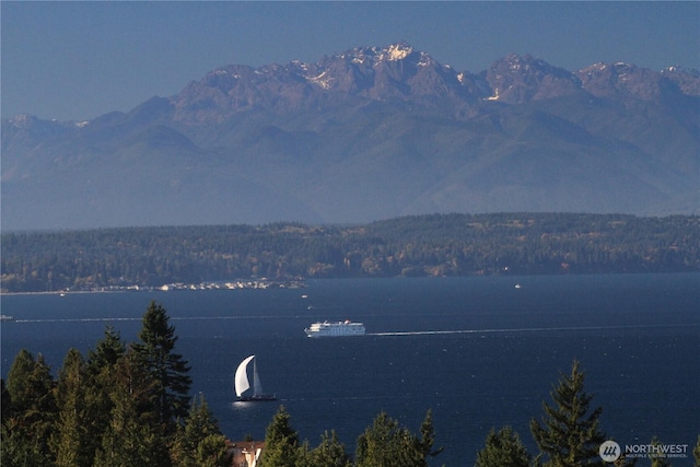 water view featuring a mountain view and a wooded view