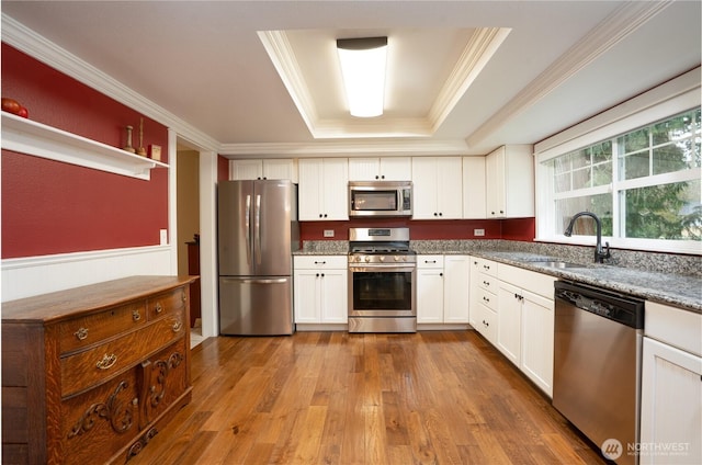 kitchen with stainless steel appliances, a sink, dark wood finished floors, a raised ceiling, and crown molding