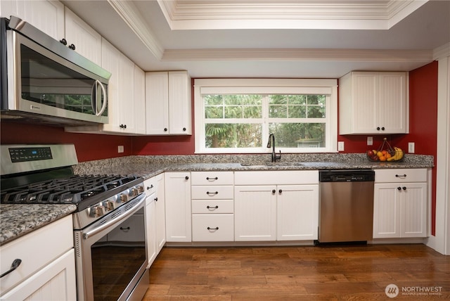 kitchen featuring ornamental molding, stainless steel appliances, a sink, and a raised ceiling