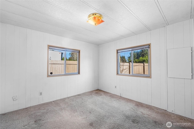 spare room featuring carpet flooring