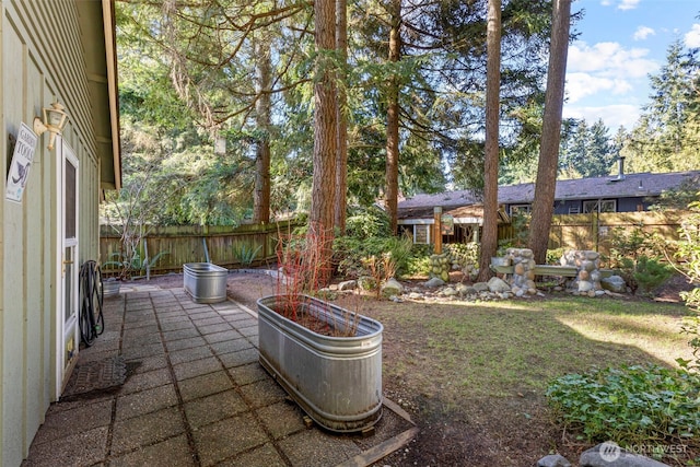 view of yard with a patio area and a fenced backyard