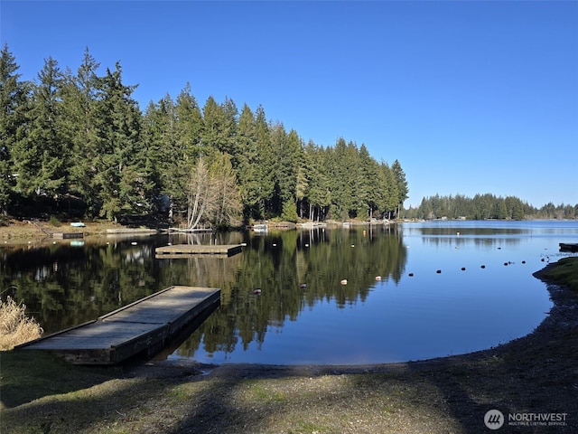 view of dock with a water view and a wooded view