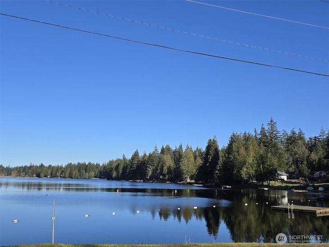 water view with a wooded view