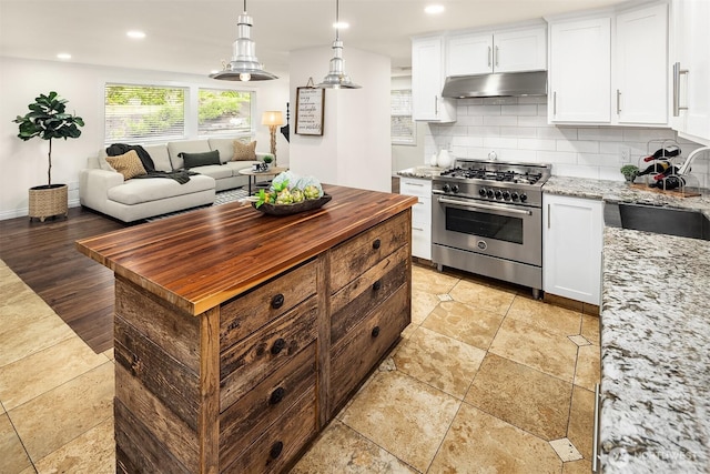 kitchen with light stone counters, a sink, high end stove, under cabinet range hood, and tasteful backsplash