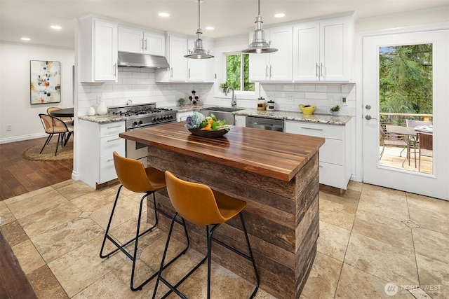 kitchen with under cabinet range hood, a sink, tasteful backsplash, stainless steel appliances, and butcher block counters