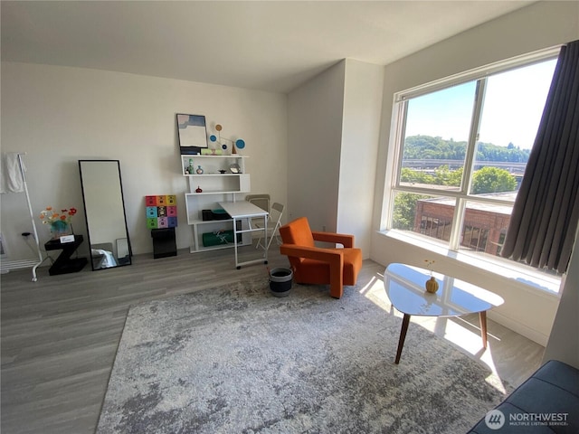 recreation room with wood finished floors