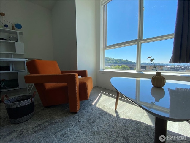 living area with carpet floors