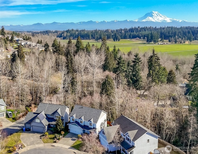 drone / aerial view with a forest view and a mountain view