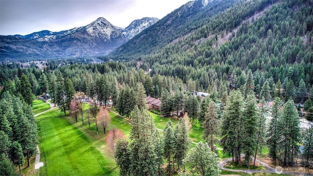 property view of mountains with a view of trees