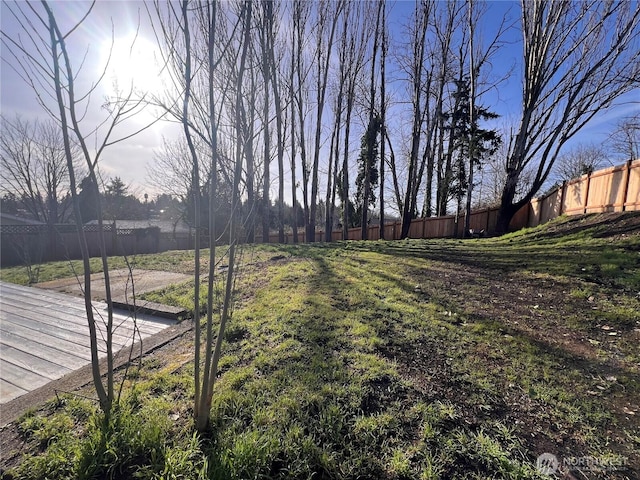 view of yard featuring a fenced backyard