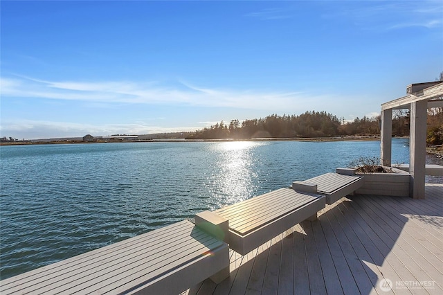 view of dock with a water view