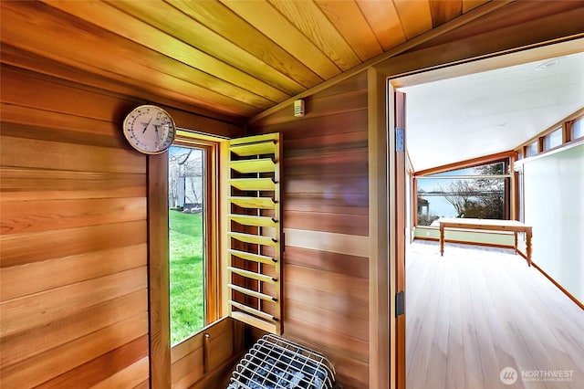 view of sauna / steam room featuring a healthy amount of sunlight and wood finished floors