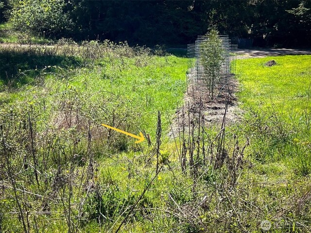 1219 S St, Port Townsend, WA 98368