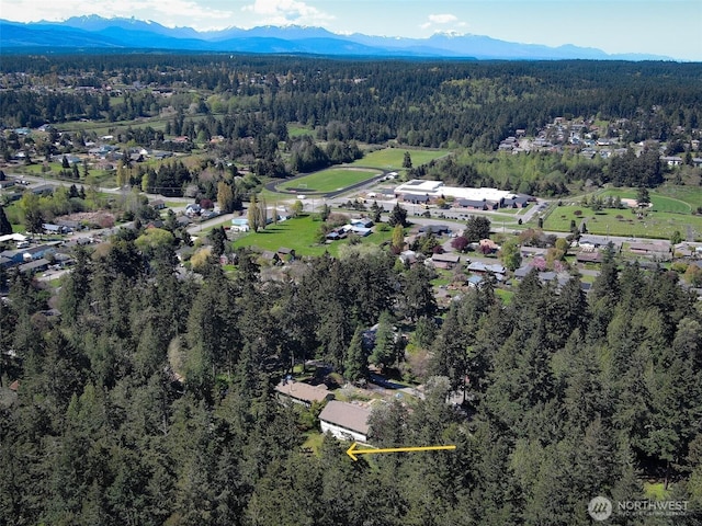 1219 S St, Port Townsend, WA 98368